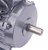 Egyfázisú villanymotor 3kW 2800RPM PM-JSE-3000T