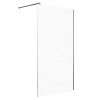 Astro 120x190 cm Walk-in zuhanyfal Easy clean bevonattal